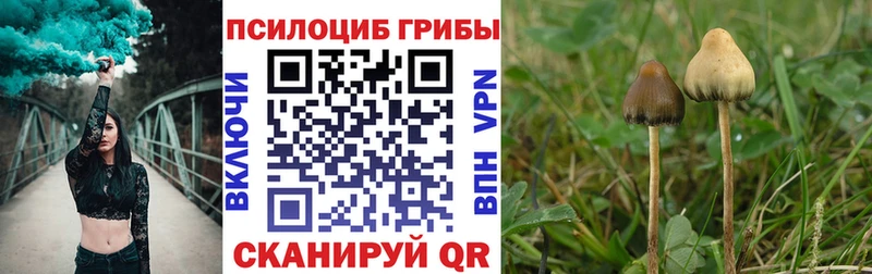 Галлюциногенные грибы мицелий наркошоп Губаха