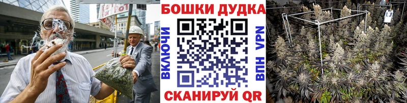 Каннабис AK-47  закладки  Губаха 
